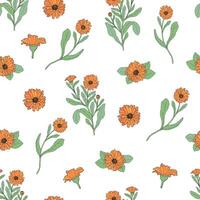 Floral seamless pattern with calendula plants and cut flower heads hand drawn in antique style on white background. Beautiful flowering herb. Natural vector illustration for wrapping paper, backdrop.