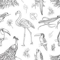 Beautiful seamless pattern with tropical birds and exotic leaves hand drawn with contour lines on white background. Monochrome vector illustration for wallpaper, fabric print, wrapping paper.