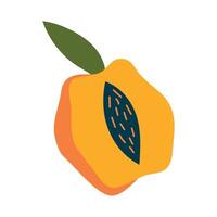 Peach in modern style. Isolated vector illustration for your design.