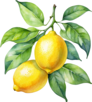 ai generato acquerello pittura di un' Limone frutta. png