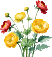 AI generated Watercolor painting of a Ranunculus flower. png