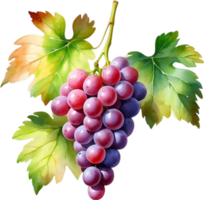 AI generated Watercolor painting of a Grapes fruit. png