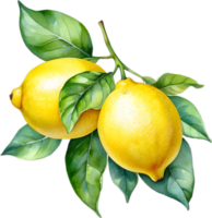 ai generato acquerello pittura di un' Limone frutta. png