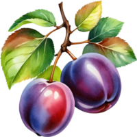 AI generated Watercolor painting of plum fruit with leaves. png