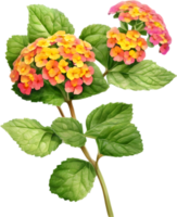 AI generated Watercolor painting of a Lantana flower. png