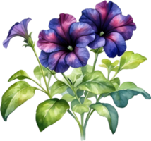 AI generated Watercolor painting of a Petunia Black Velvet flower. png