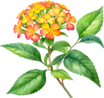 ai gegenereerd waterverf schilderij van een lantana bloem. png