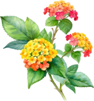 AI generated Watercolor painting of a Lantana flower. png