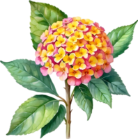 AI generated Watercolor painting of a Lantana flower. png