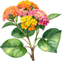 AI generated Watercolor painting of a Lantana flower. png