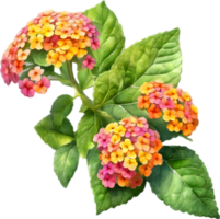 ai généré aquarelle La peinture de une lantana fleur. png