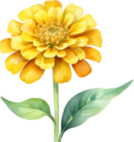 ai gegenereerd waterverf schilderij van een zinnia bloem. png