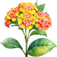 AI generated Watercolor painting of a Lantana flower. png