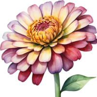 ai genererad vattenfärg målning av en zinnia blomma. png