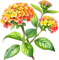 ai généré aquarelle La peinture de une lantana fleur. png