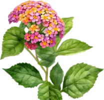 ai generado acuarela pintura de un lantana flor. png