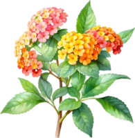 AI generated Watercolor painting of a Lantana flower. png