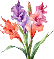 AI generated Watercolor painting of a Gladiolus flower. png