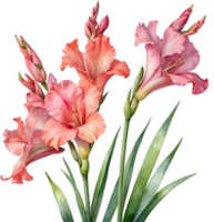 AI generated Watercolor painting of a Gladiolus flower. png