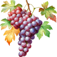 AI generated Watercolor painting of a Grapes fruit. png