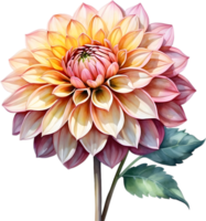 ai generiert Aquarell Gemälde von ein Pompon Dahlie Blume. png