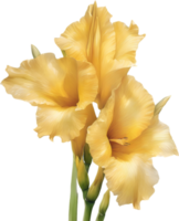 AI generated Watercolor painting of a Gladiolus flower. png