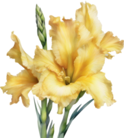 ai generiert Aquarell Gemälde von ein Gladiole Blume. png