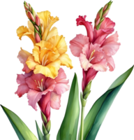 AI generated Watercolor painting of a Gladiolus flower. png