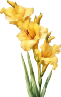 AI generated Watercolor painting of a Gladiolus flower. png