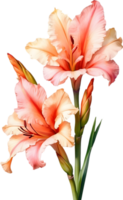 AI generated Watercolor painting of a Gladiolus flower. png