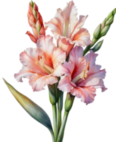 AI generated Watercolor painting of a Gladiolus flower. png