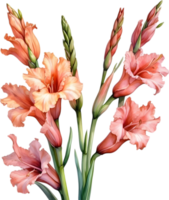 ai generiert Aquarell Gemälde von ein Gladiole Blume. png