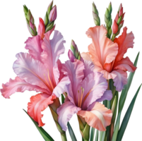 ai genererad vattenfärg målning av en gladiolus blomma. png