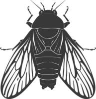 AI generated Silhouette cicada Insect animal black color only vector