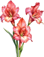 ai gegenereerd waterverf schilderij van een gladiolen bloem. png