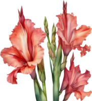 ai generiert Aquarell Gemälde von ein Gladiole Blume. png