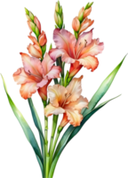 ai generiert Aquarell Gemälde von ein Gladiole Blume. png