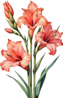 AI generated Watercolor painting of a Gladiolus flower. png