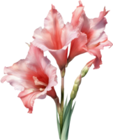 AI generated Watercolor painting of a Gladiolus flower. png