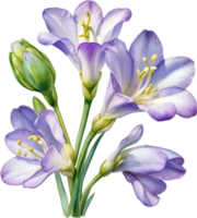 ai généré aquarelle La peinture de une freesia fleur. png