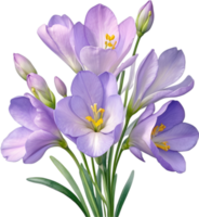 ai généré aquarelle La peinture de une freesia fleur. png