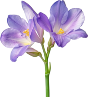 AI generated Watercolor painting of a freesia flower. png
