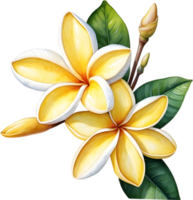 ai generiert Aquarell Gemälde von ein Frangipani Blume. png