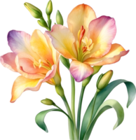 AI generated Watercolor painting of a freesia flower. png