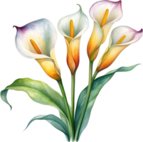 ai generiert Aquarell Gemälde von ein Calla Lilie Blume. png