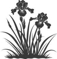 AI generated Silhouette iris flower in the ground black color only vector