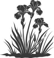 AI generated Silhouette iris flower in the ground black color only vector