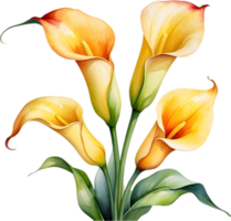 ai generiert Aquarell Gemälde von ein Calla Lilie Blume. png