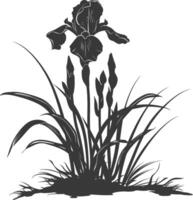 AI generated Silhouette iris flower in the ground black color only vector