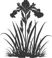 AI generated Silhouette iris flower in the ground black color only vector